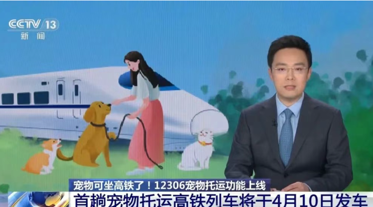 铁路12306同步推出“宠物托运”功能