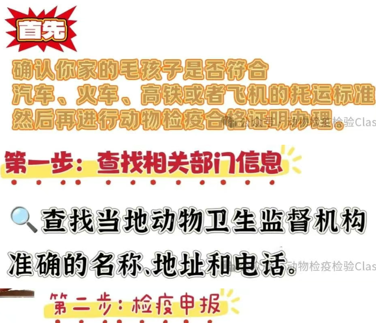 办理流程，省时避坑