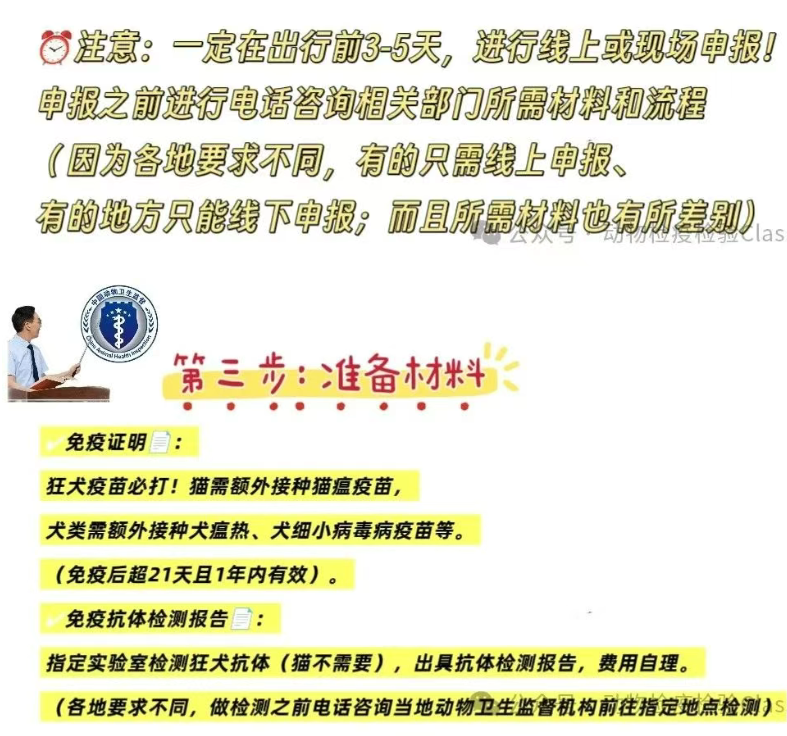 办理流程，省时避坑