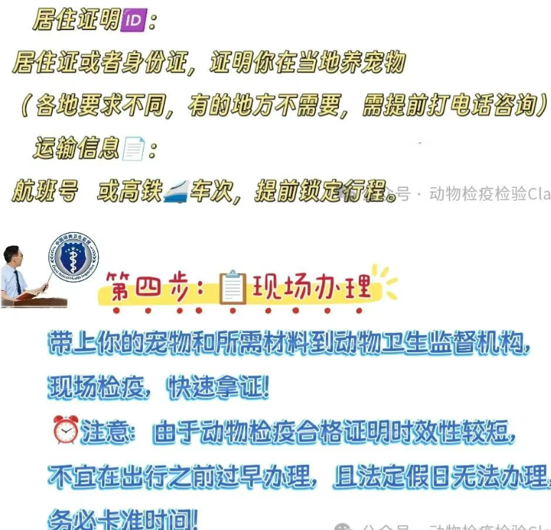 办理流程，省时避坑