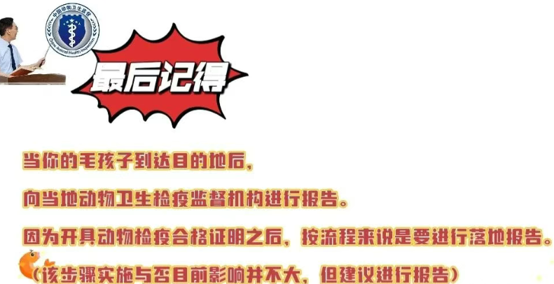 办理流程，省时避坑