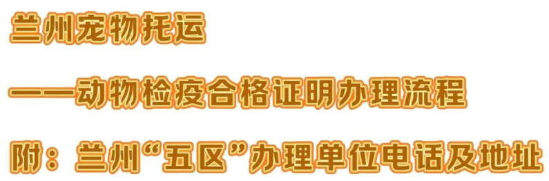 兰州宠物托运——动物检疫合格证明办理教程