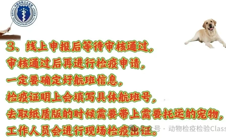 兰州宠物托运——动物检疫合格证明办理教程