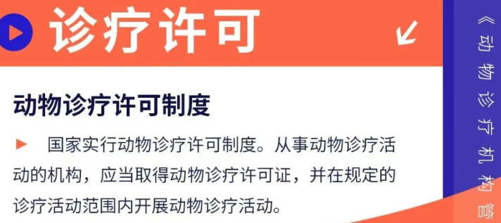 动物诊疗许可证的管理制度具体内容