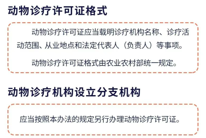 动物诊疗许可证的管理制度具体内容