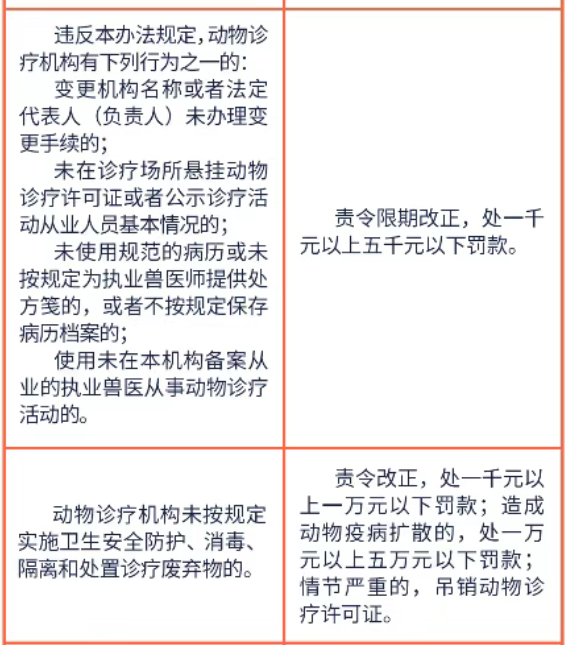 动物诊疗许可证的管理制度具体内容