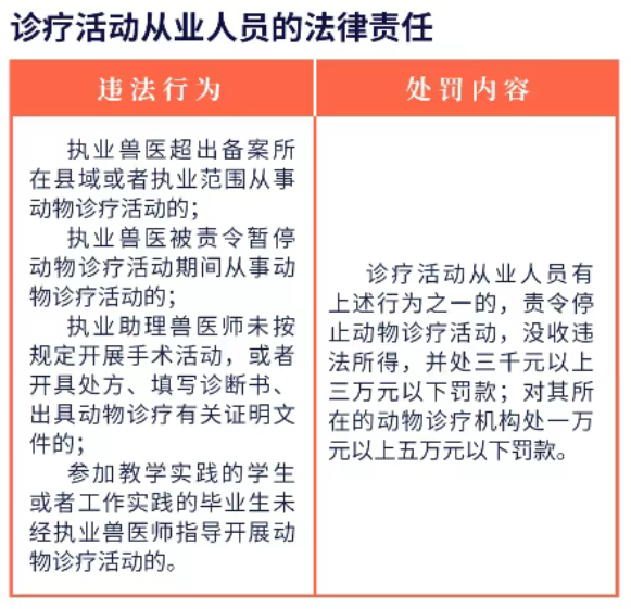 动物诊疗许可证的管理制度具体内容