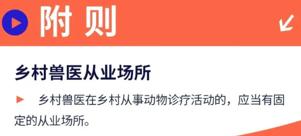 动物诊疗许可证的管理制度具体内容