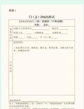 从生成到保存的全流程标准
