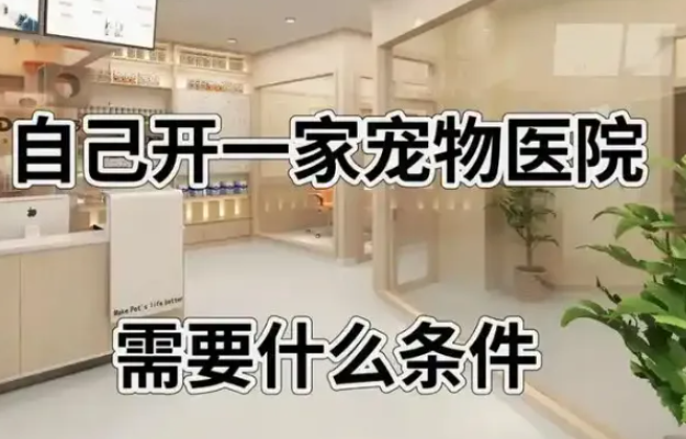 办理《动物诊疗许可证》重点核对"执业兽医师数量"和"手术室面积"要求——这两项往往是卡住申请的关键。